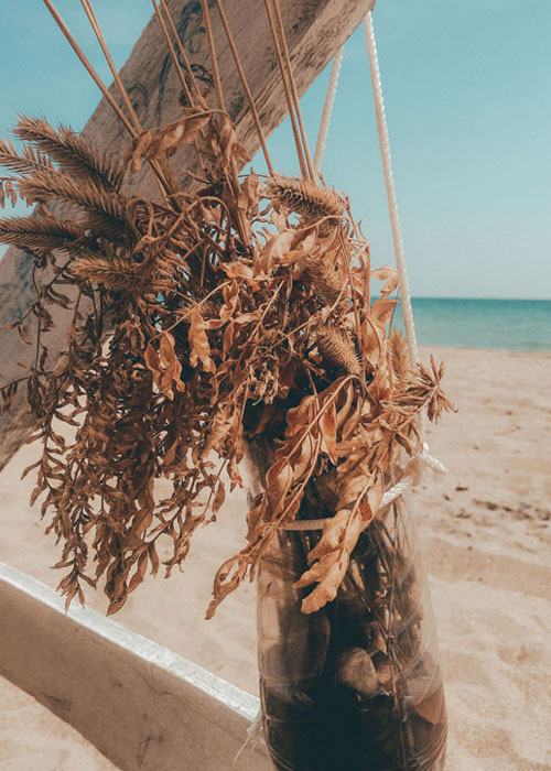 dead-tree-beach-against-clear-sky-1